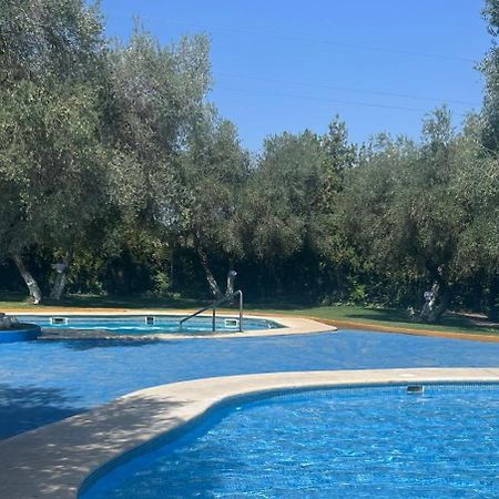 Apartamento A 8Km Sevilla Centro Валенсия де ла Консепсион Экстерьер фото
