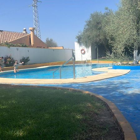 Apartamento A 8Km Sevilla Centro Валенсия де ла Консепсион Экстерьер фото