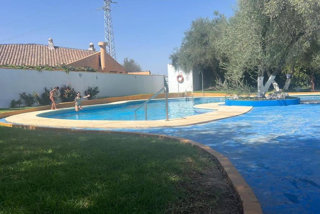 Apartamento A 8Km Sevilla Centro Валенсия де ла Консепсион Экстерьер фото